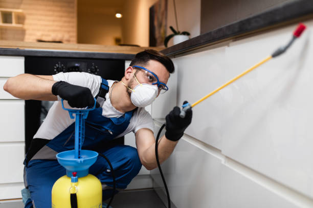Best Commercial Pest Control Services  in Paris, TX