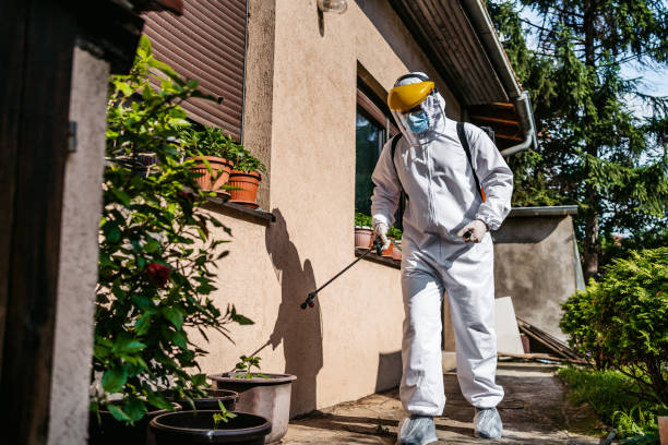 Best Termite Control Services  in Paris, TX