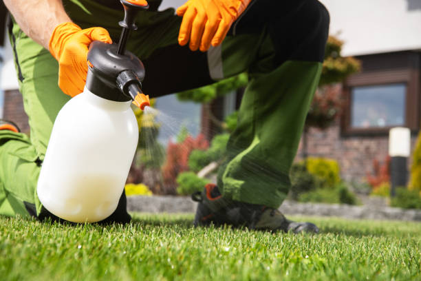 Best Emergency Pest Control  in Paris, TX