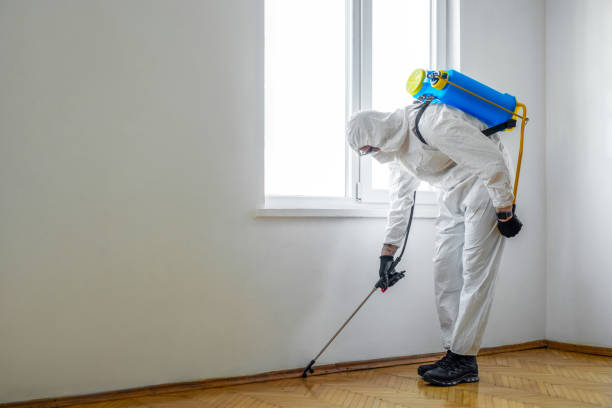 Trusted Paris, TX Pest Control Experts