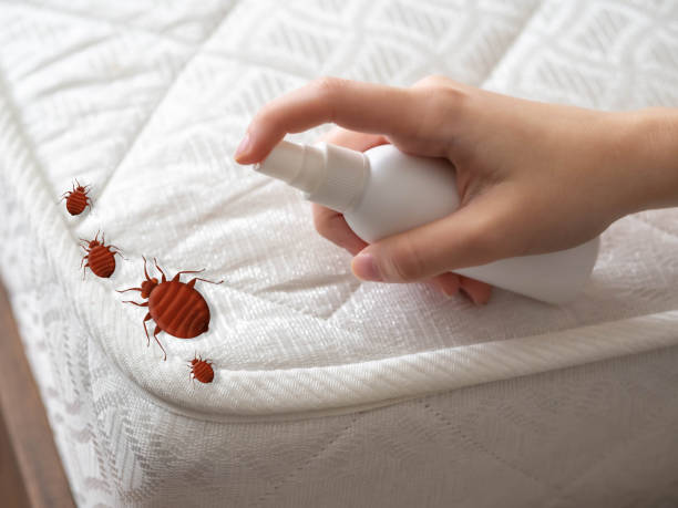 Best Best Pest Control Companies  in Paris, TX