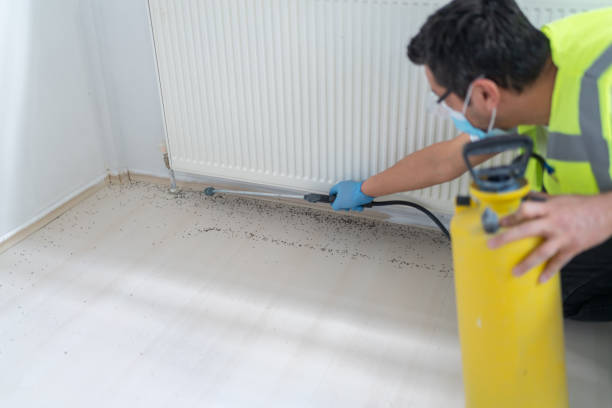 Best Rat Extermination Near Me  in Paris, TX